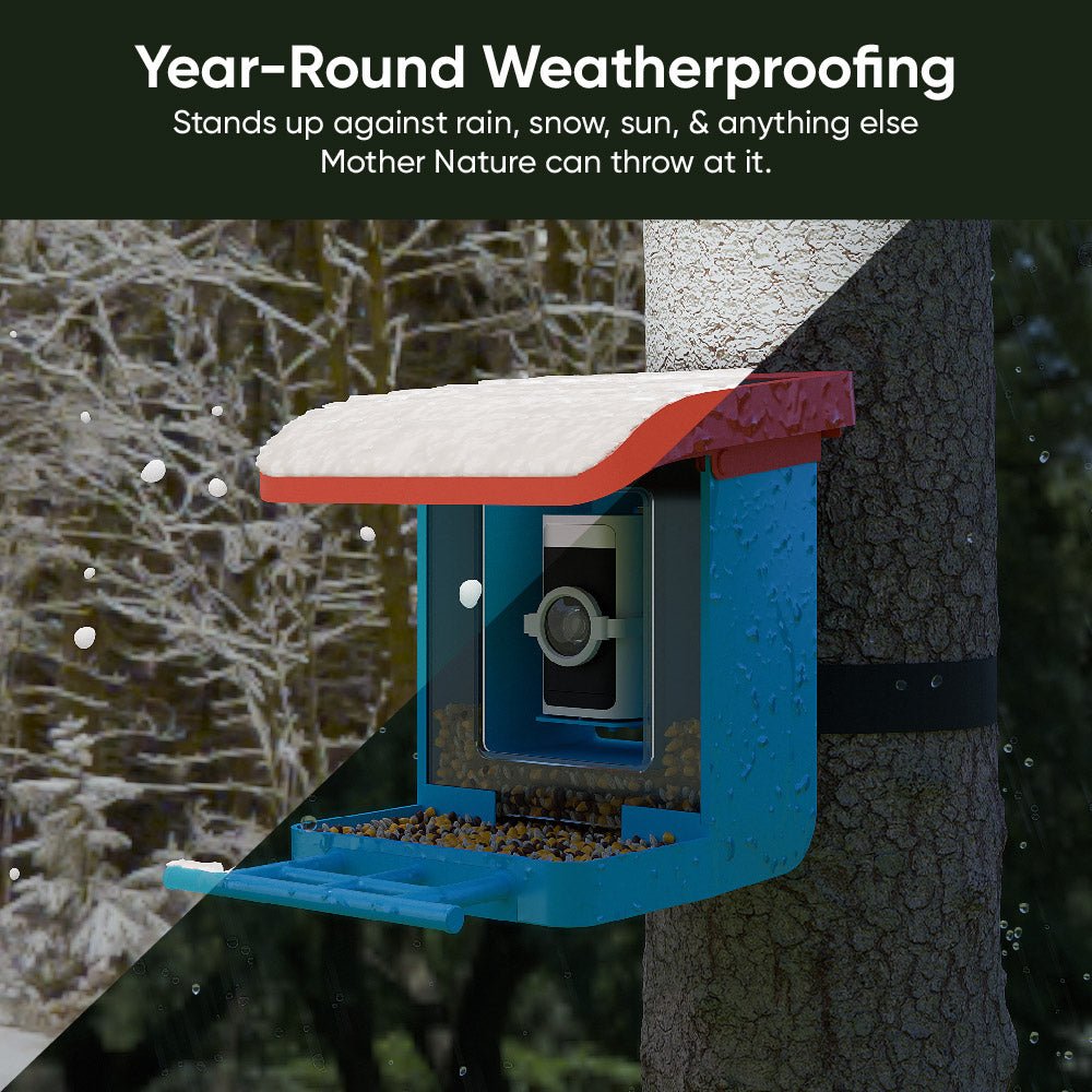 Bird Feeder Wireless Camera Bundle - Image 4