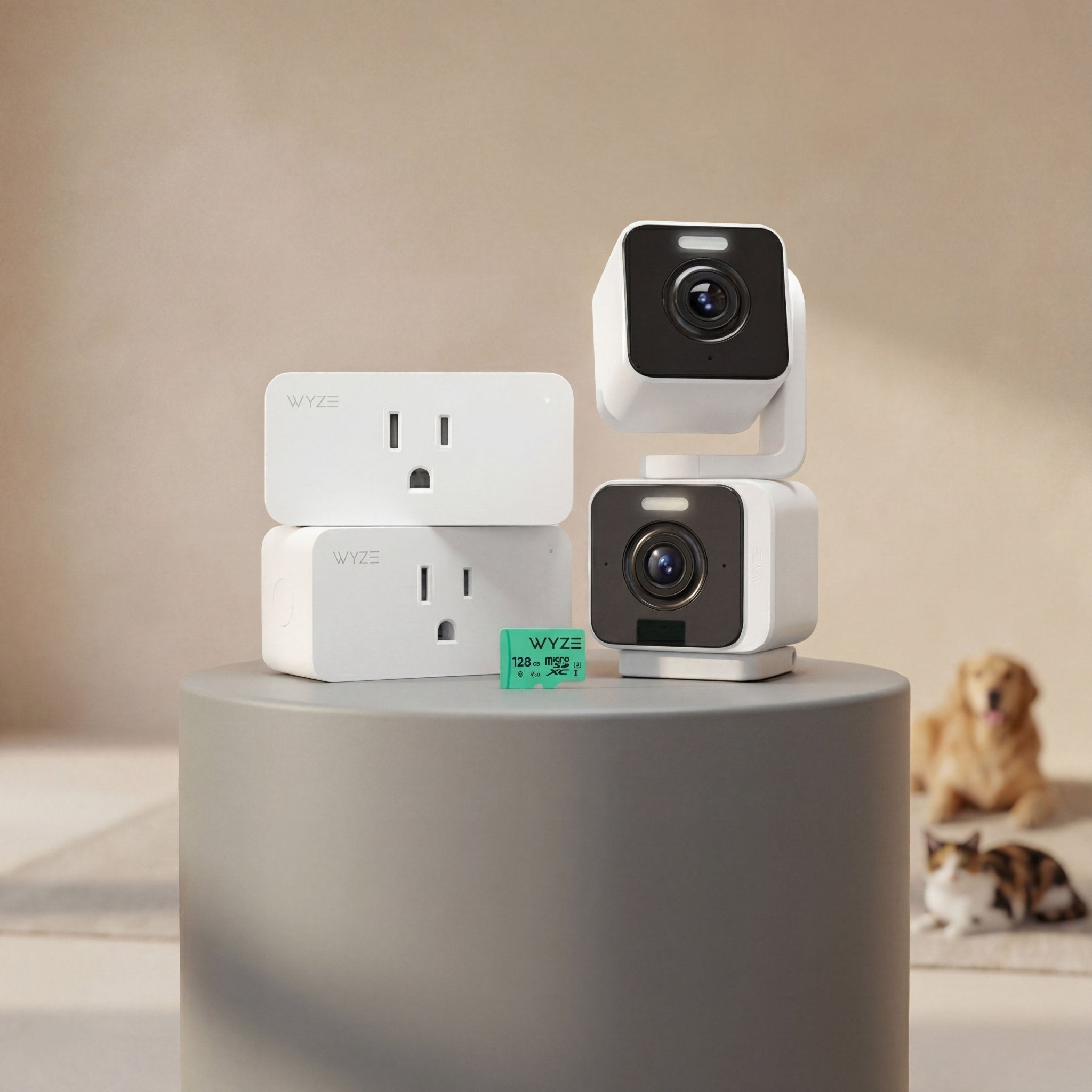 Pet Monitoring Plus - Image 11