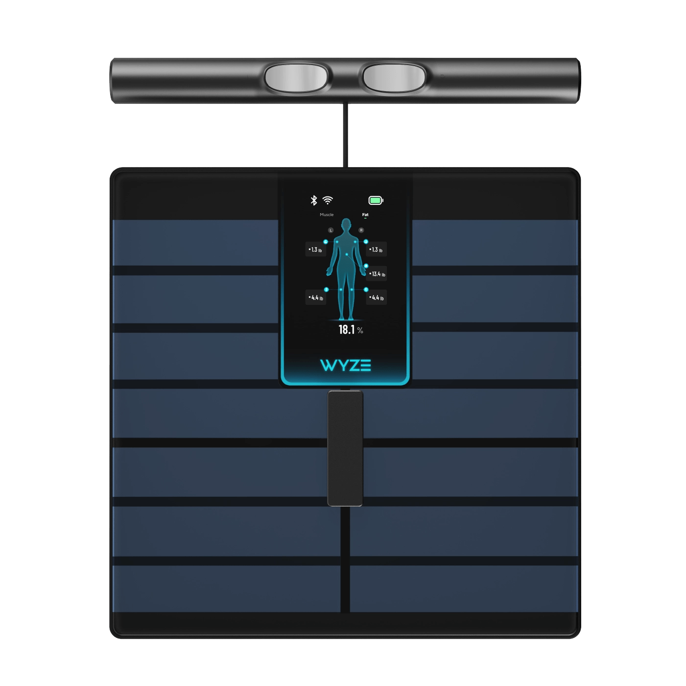 Scale Ultra BodyScan