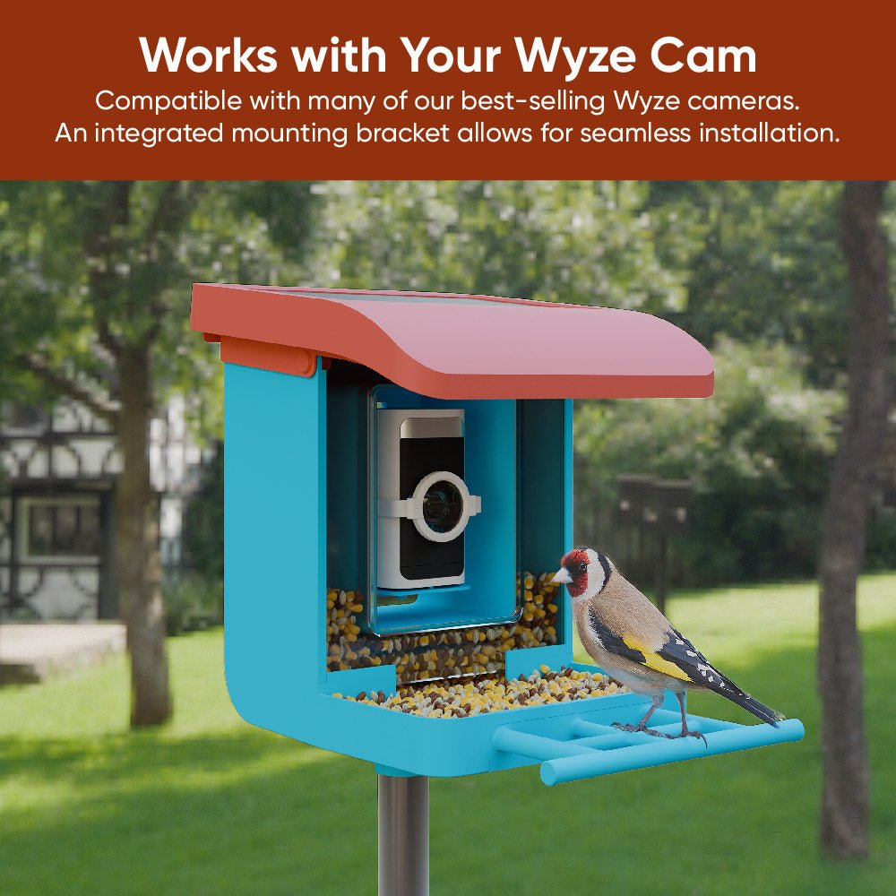 Bird Feeder Wireless Camera Bundle - Image 7
