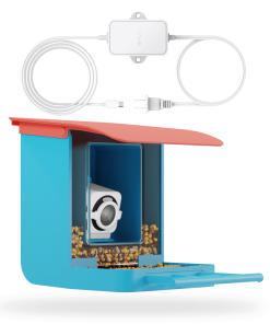 Bird Feeder Plug-in Cam v4 Bundle