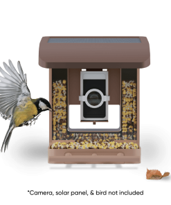 Alternative view of Bird Feeder