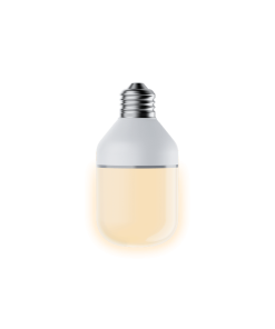 Accessory Light Bulb