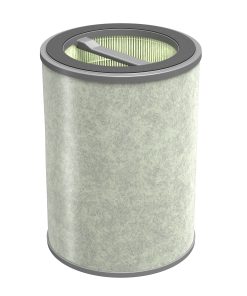 Alternative view of Air Filter Subscription