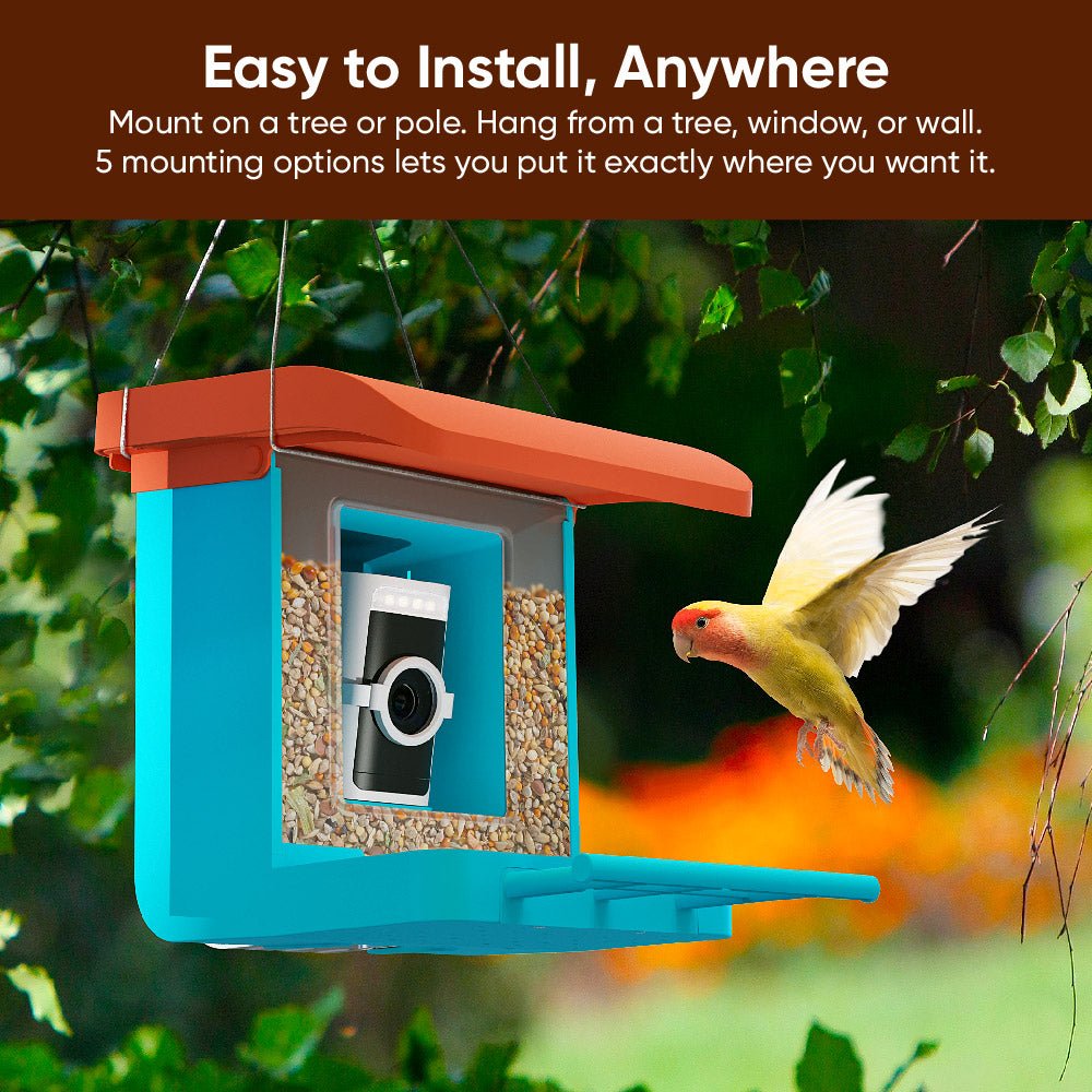 Bird Feeder Wireless Camera Bundle - Image 5