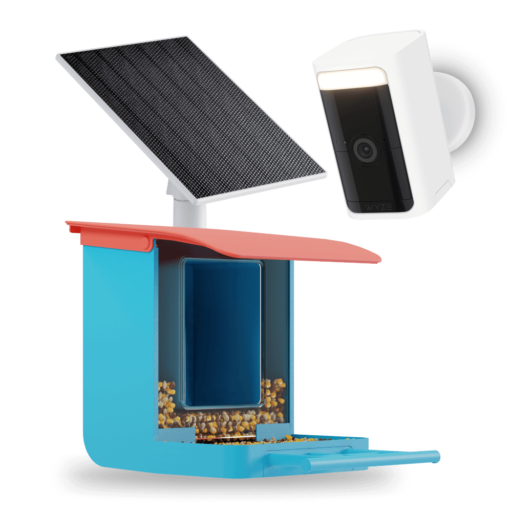 Bird Feeder Wireless Camera Bundle - Image 3