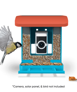 Bird Feeder