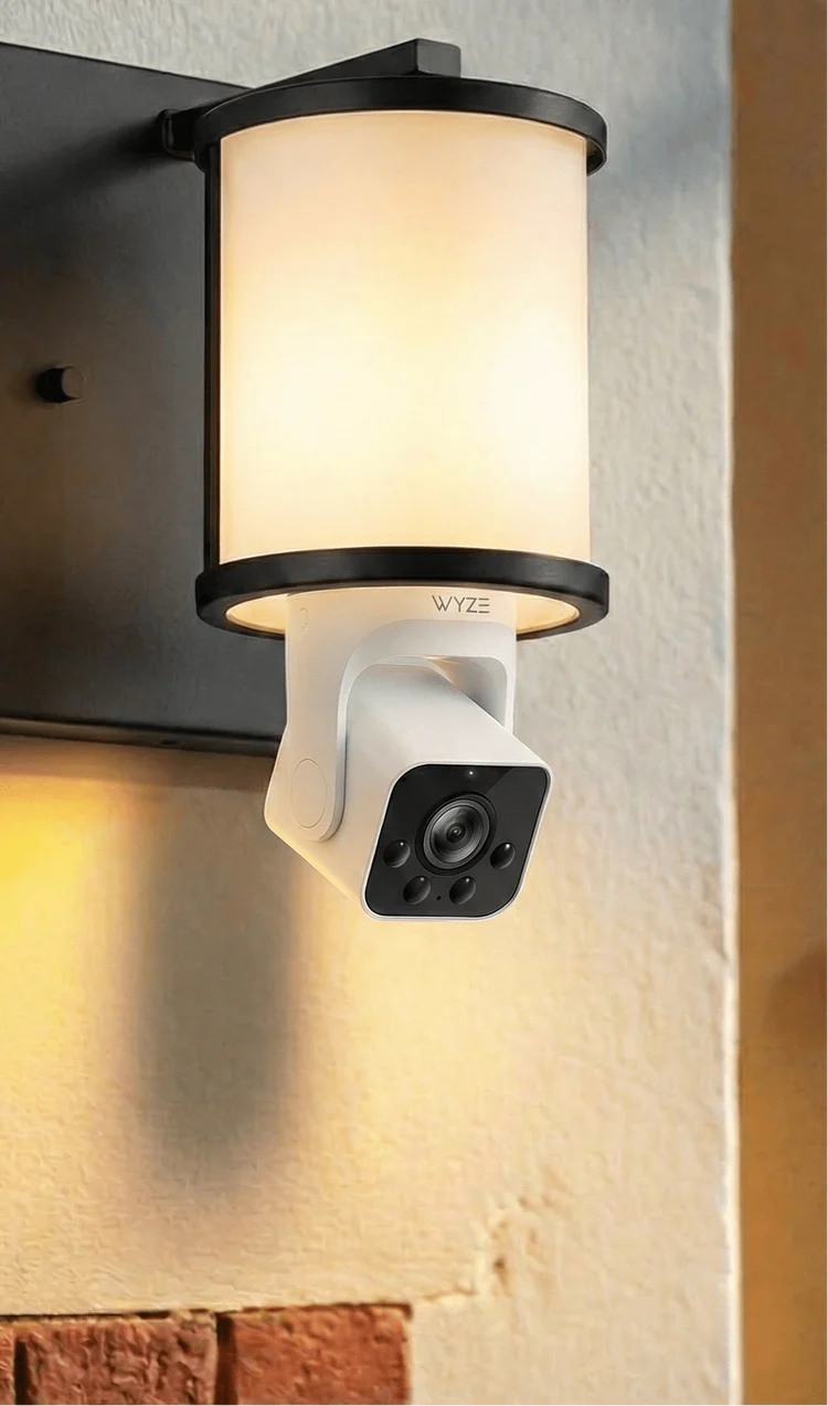 Bulb Cam