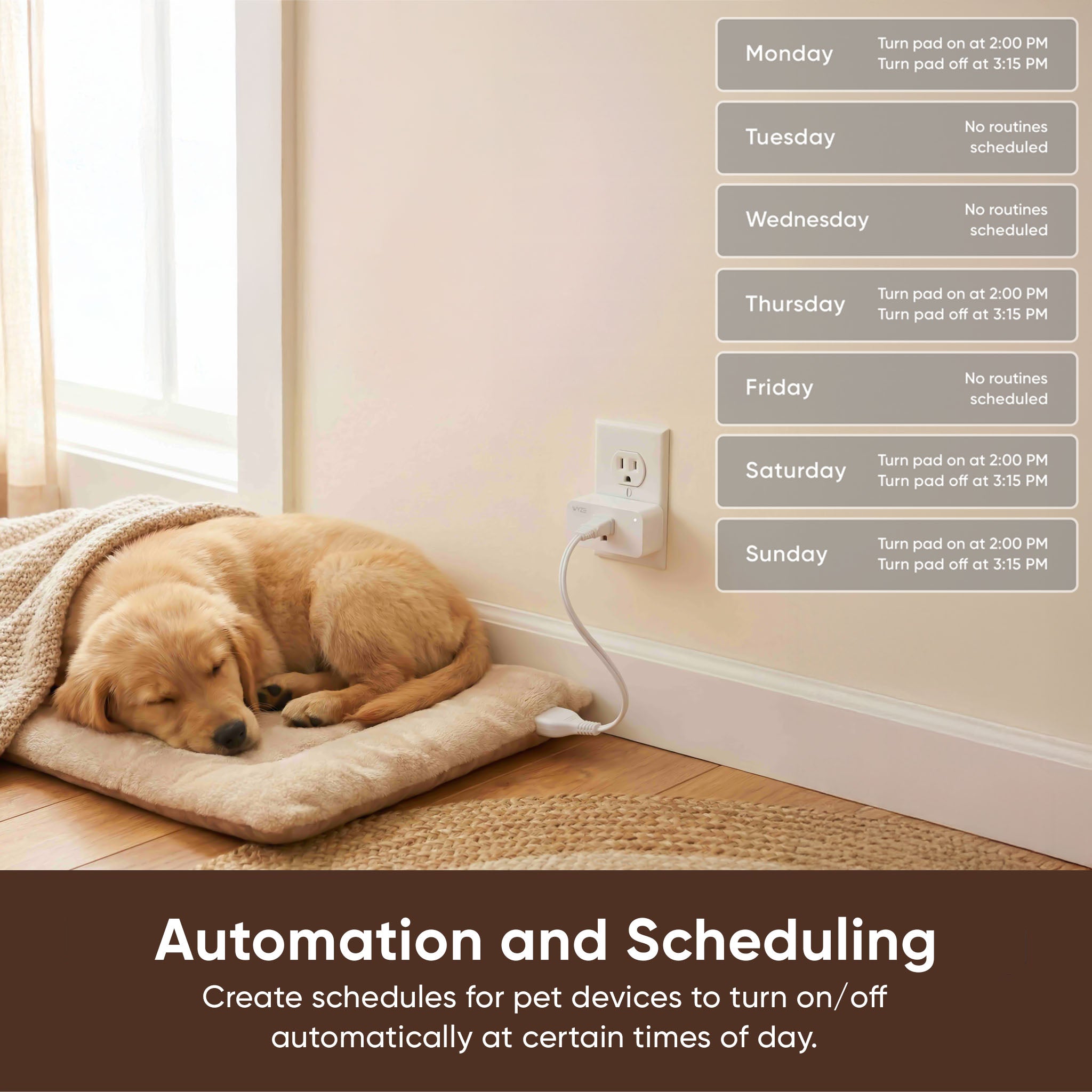 Pet Monitoring Plus - Image 8