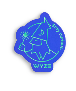 Stay Curious Wizard Pin