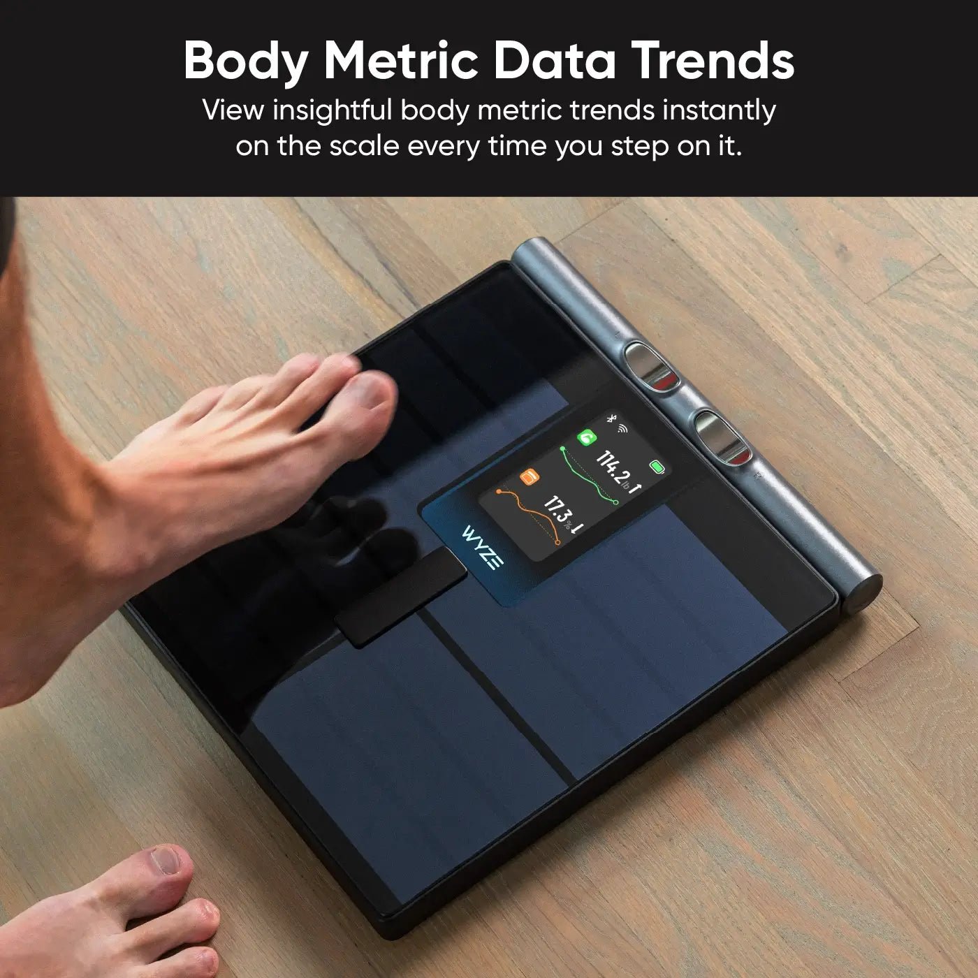 Scale Ultra BodyScan - Image 10