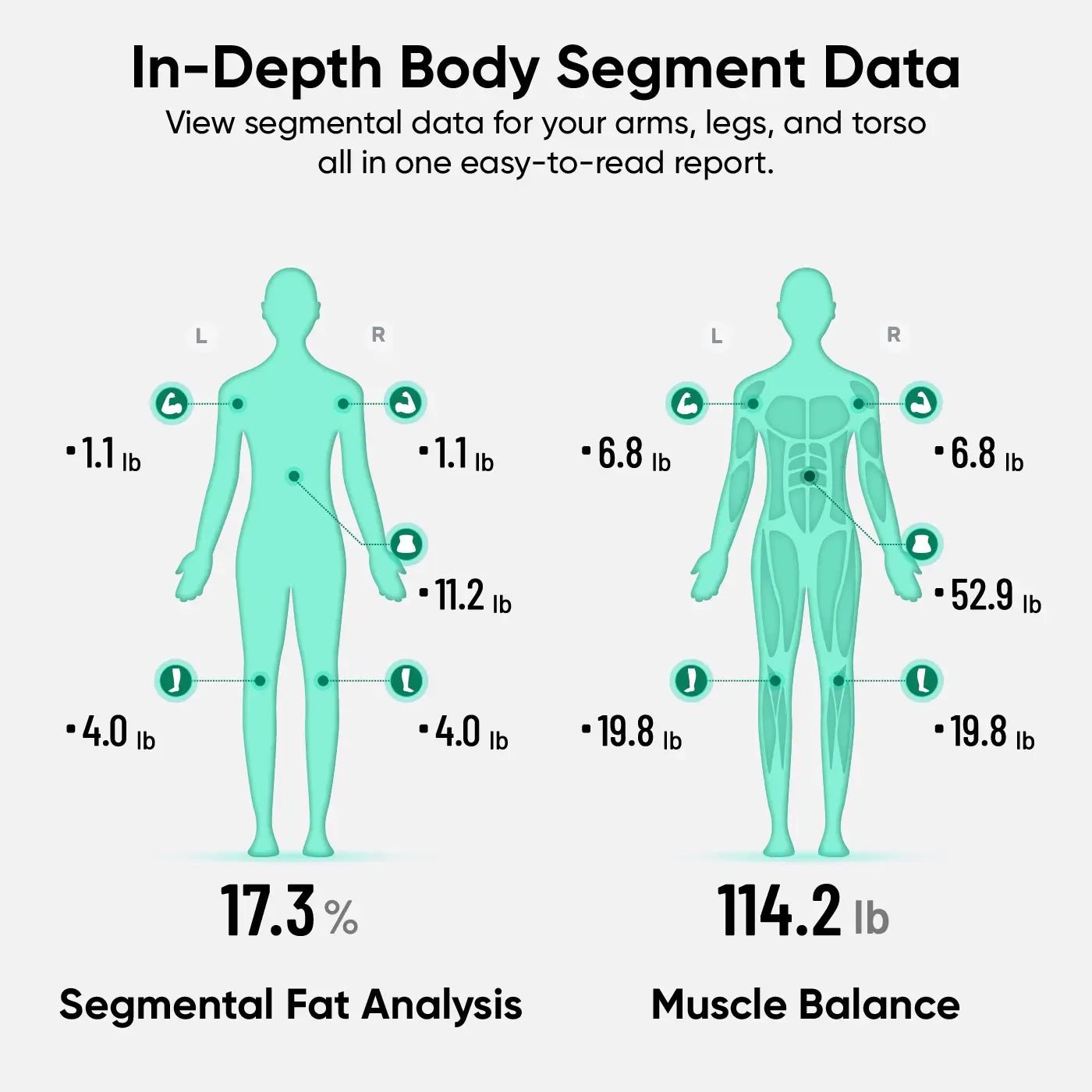Scale Ultra BodyScan - Image 6